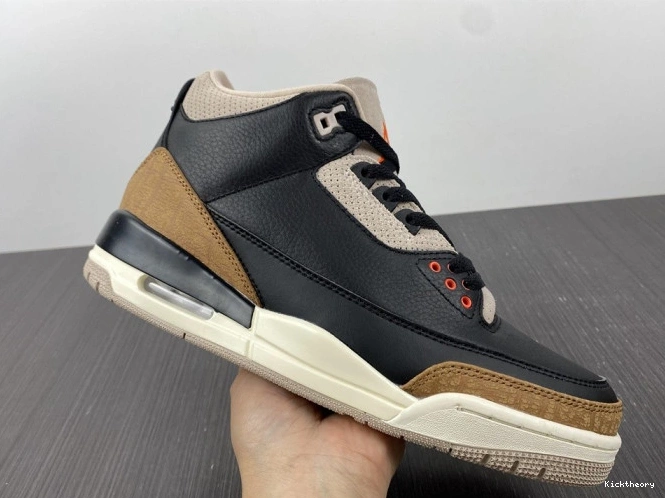 Kicktheory Elephant Desert Air Jordan CT8532-008 3 0706